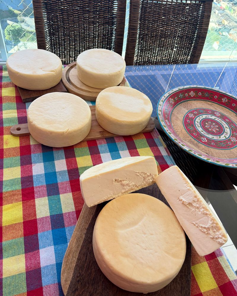 Queijos canastra artesanais inteiros curando sobre a mesa, ao lado de um prato decorado